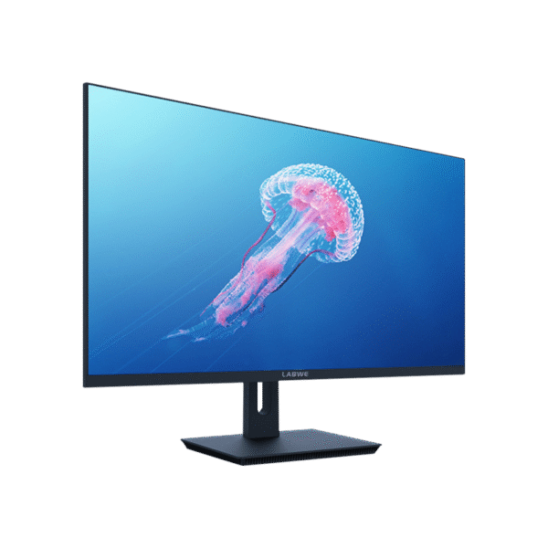 Monitor LMS - Image 3