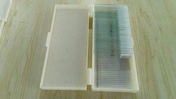 Set of Microscopic Sections - Botany (UA)