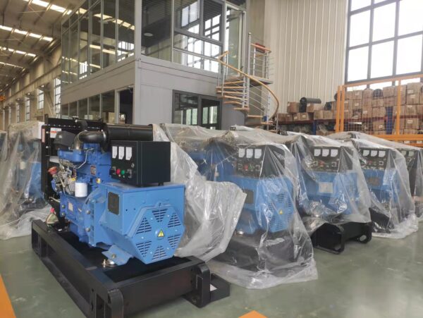 Diesel Generator - Image 3
